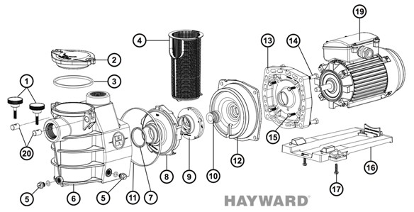 pompe piscine hayward