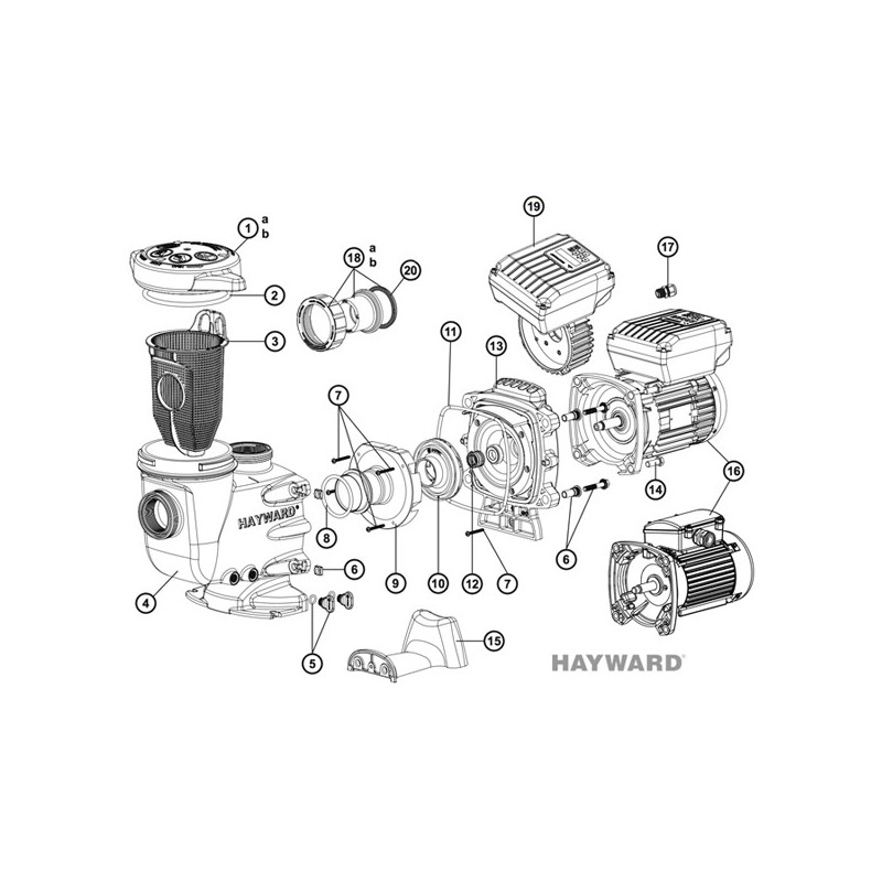 Pompe piscine sta rite