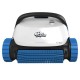 Robot Dolphin S300