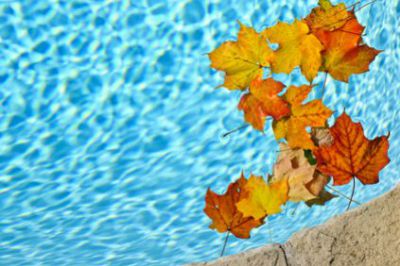 piscine en automne